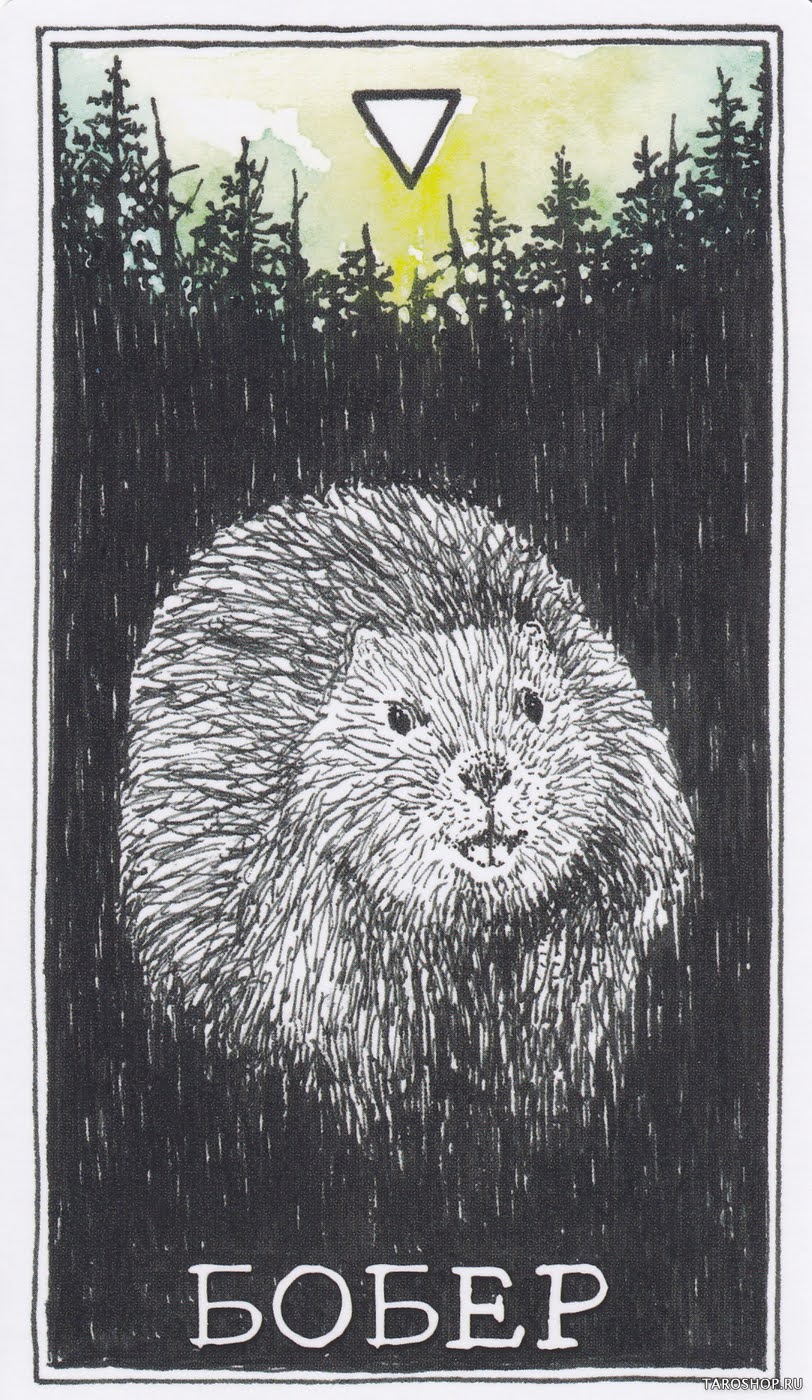 The Wild Unknown Animal Spirit (Дикое Неизвестное тотемное животное)